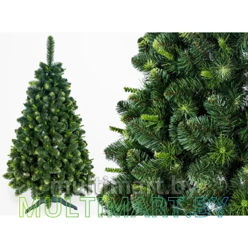 Сосна GreenTerra Сибирская с молодыми побегами 1.2 м